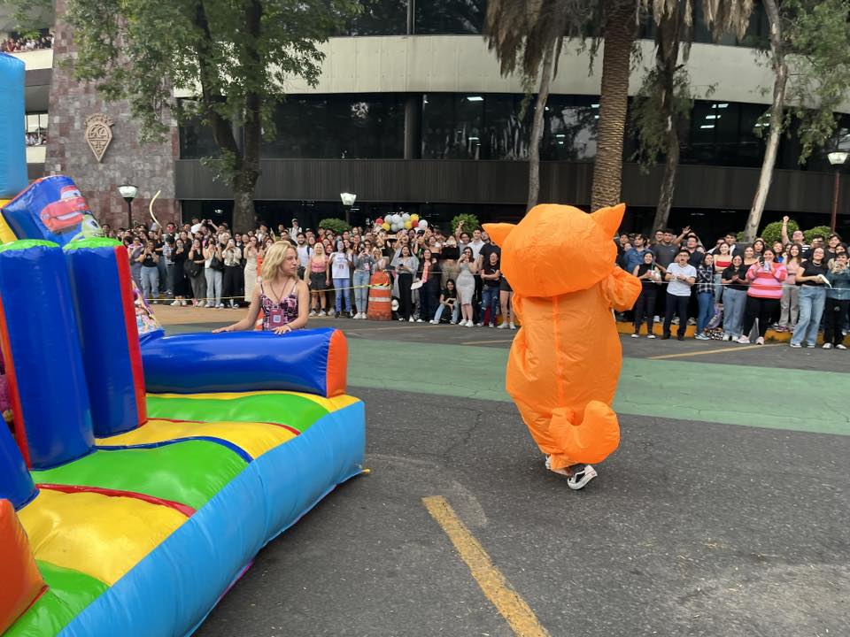 IPN maestría en educación