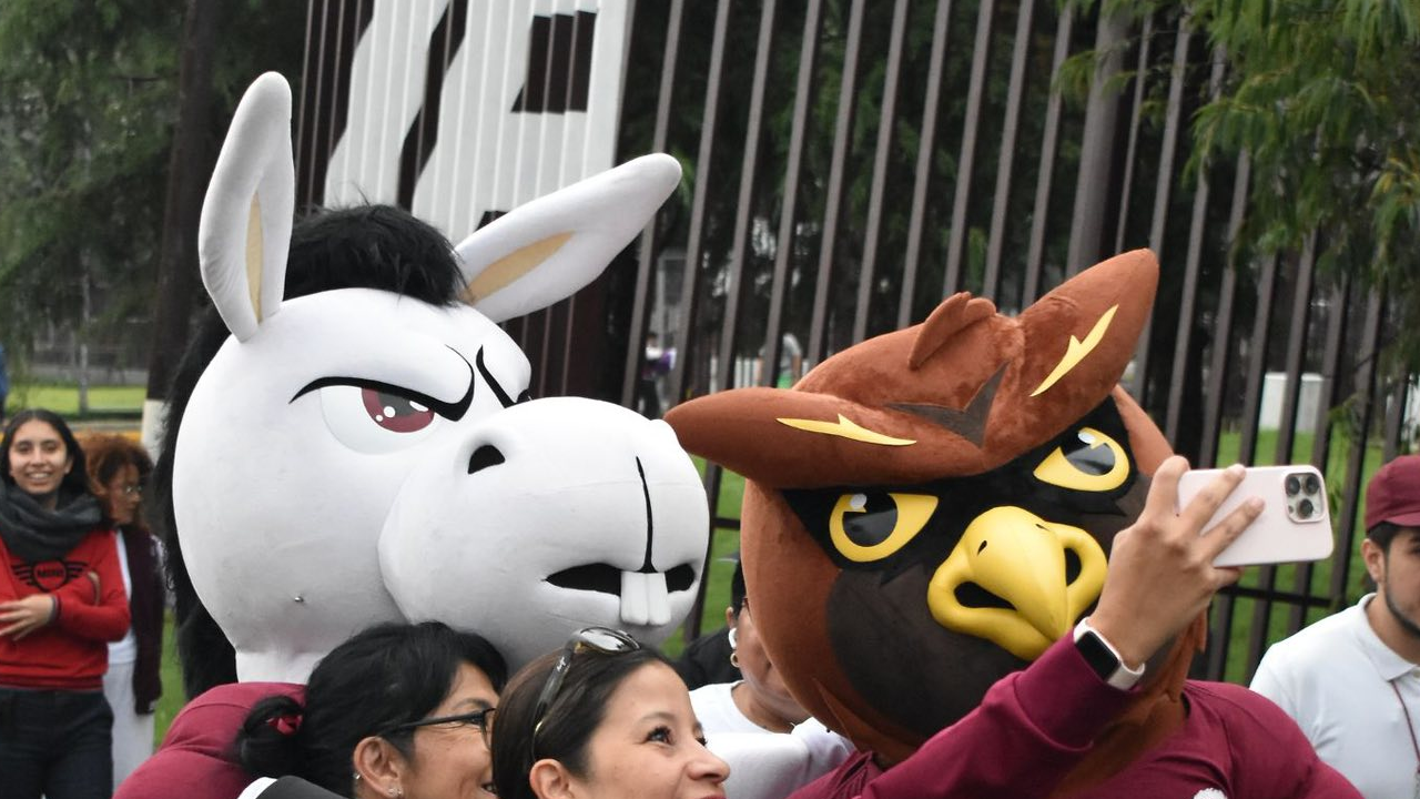 Maestría en educación IPN